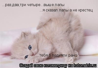 ...раз,два,три четыре...выше лапы ...я сказал лапы а не крестец ...тебя б подняли рано... Котоматрица: ...раз,два,три четыре...выше лапы ...я сказал лапы а не крестец ...тебя б подняли рано