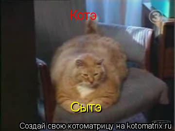 Котэ Сытэ... Котоматрица: Котэ Сытэ