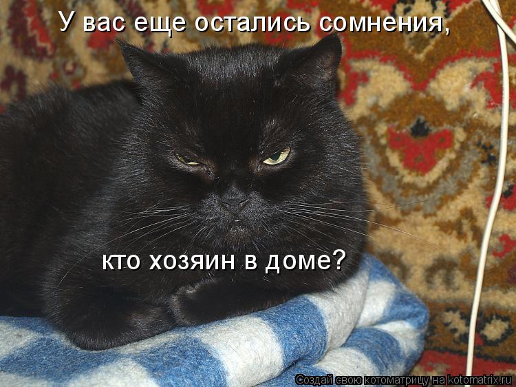 У вас еще остались сомнения, кто хозяин в доме?... Котоматрица: У вас еще остались сомнения, кто хозяин в доме?
