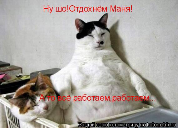 Ну шо!Отдохнём Маня! А то всё работаем,работаем...... Котоматрица: Ну шо!Отдохнём Маня! А то всё работаем,работаем...