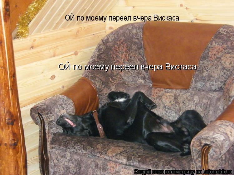 ОЙ по моему переел вчера Вискаса ОЙ по моему переел вчера Вискаса... Котоматрица: ОЙ по моему переел вчера Вискаса ОЙ по моему переел вчера Вискаса