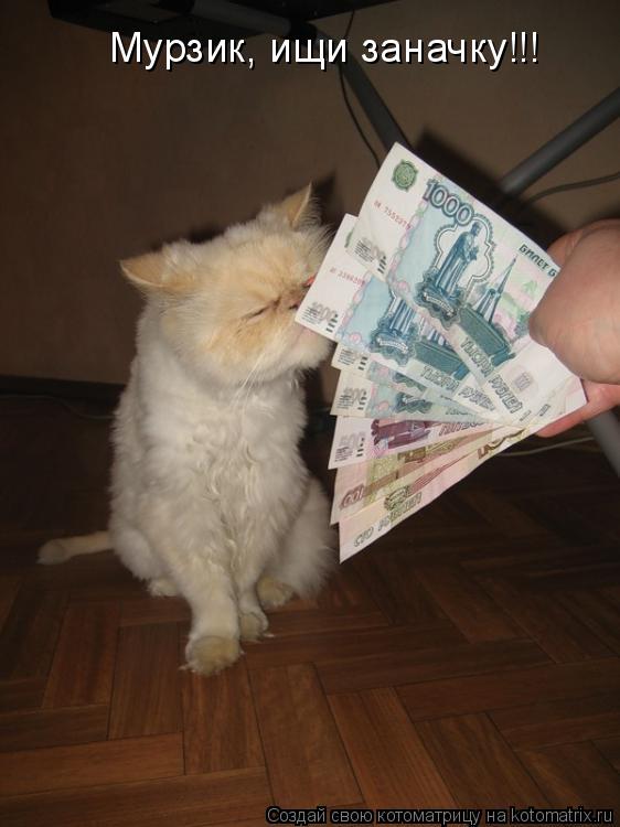 Мурзик, ищи заначку!!!... Котоматрица: Мурзик, ищи заначку!!!