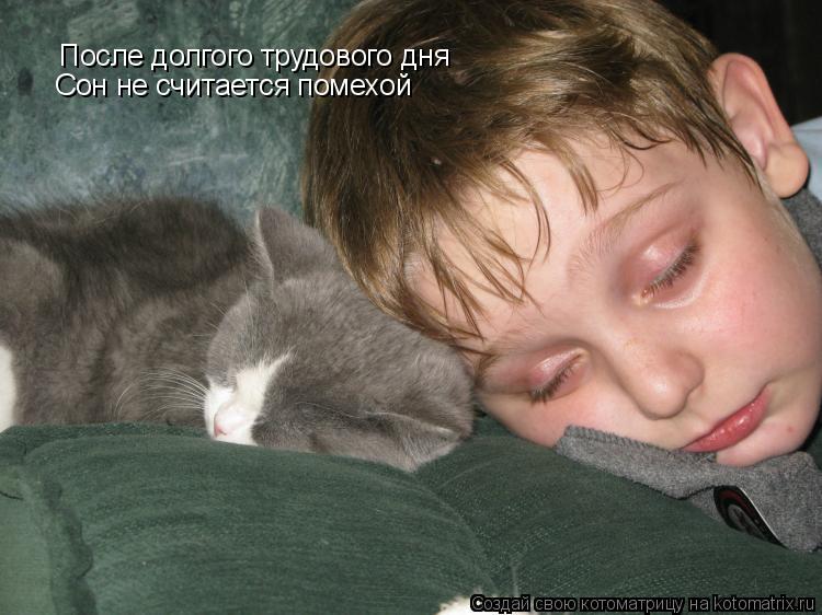 После долгого трудового дня Сон не считается помехой... Котоматрица: После долгого трудового дня Сон не считается помехой