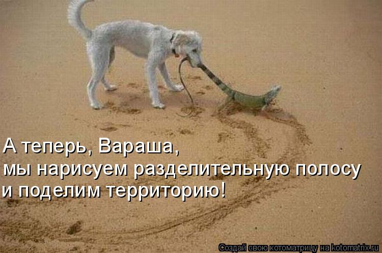 А теперь, Вараша, мы нарисуем разделительную полосу и поделим территорию!... Котоматрица: А теперь, Вараша, мы нарисуем разделительную полосу и поделим территорию!