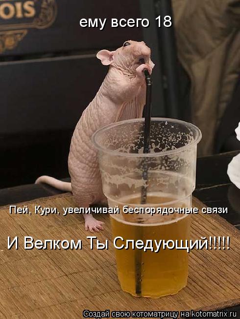 ему всего 18 Пей, Кури, увеличивай беспорядочные связи И Велком Ты Следующий!!!!!... Котоматрица: ему всего 18 Пей, Кури, увеличивай беспорядочные связи И Велком Ты Следующий!!!!!