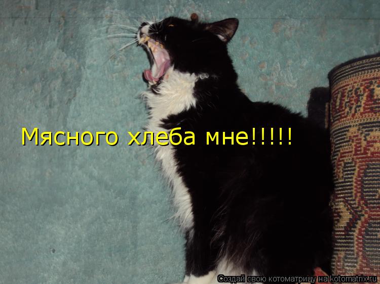 Мясного хлеба мне!!!!!... Котоматрица: Мясного хлеба мне!!!!!