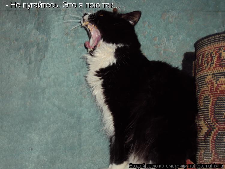 - Не пугайтесь. Это я пою так...... Котоматрица: - Не пугайтесь. Это я пою так...