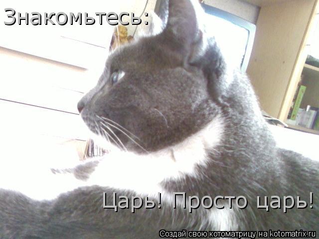 Знакомьтесь: Царь! Просто царь!... Котоматрица: Знакомьтесь: Царь! Просто царь!