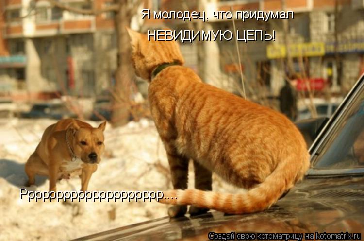 Я молодец, что придумал НЕВИДИМУЮ ЦЕПЬ! Рррррррррррррррррррр....... Котоматрица: Я молодец, что придумал НЕВИДИМУЮ ЦЕПЬ! Рррррррррррррррррррр....