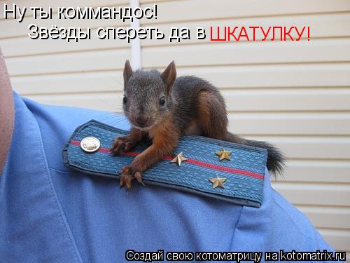 Ну ты коммандос! Звёзды спереть да в ШКАТУЛКУ!... Котоматрица: Ну ты коммандос! Звёзды спереть да в ШКАТУЛКУ!