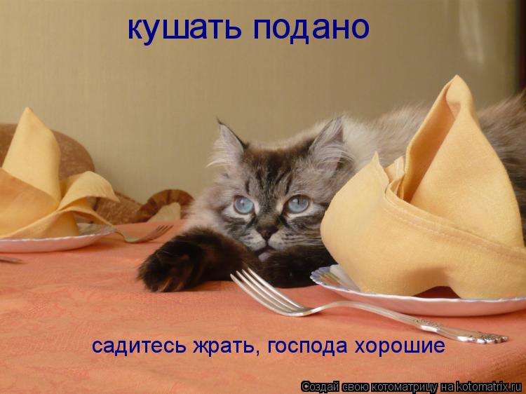 кушать подано садитесь жрать, господа хорошие... Котоматрица: кушать подано садитесь жрать, господа хорошие