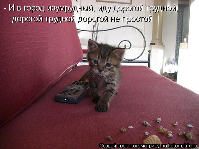 - И в город изумрудный, иду дорогой трудной, дорогой трудной дорогой не простой... Котоматрица: - И в город изумрудный, иду дорогой трудной, дорогой трудной дорогой не простой