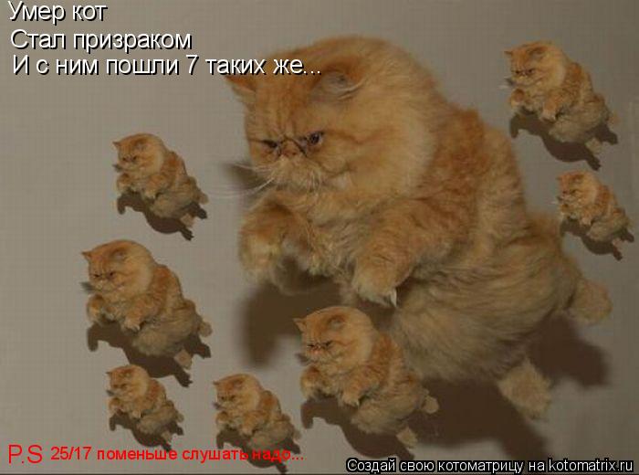 Умер кот Стал призраком И с ним пошли 7 таких же... P.S 25/17 поменьше слушать надо...... Котоматрица: Умер кот Стал призраком И с ним пошли 7 таких же... P.S 25/17 поменьше слушать надо...