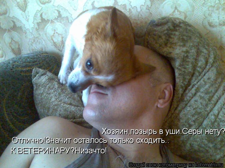 Хозяин,позырь в уши.Серы нету? Отлично!Значит осталось только сходить.. К ВЕТЕРИНАРУ?Низачто!... Котоматрица: Хозяин,позырь в уши.Серы нету? Отлично!Значит осталось только сходить.. К ВЕТЕРИНАРУ?Низачто!