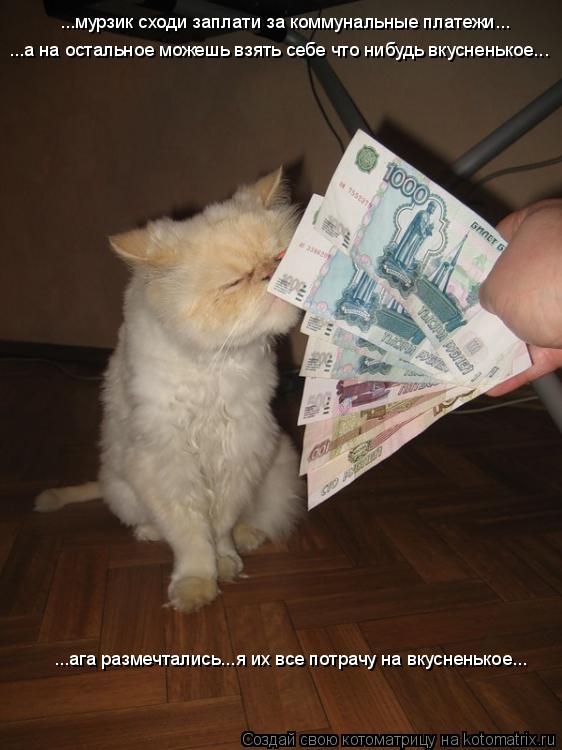 ...мурзик сходи заплати за коммунальные платежи... ...а на остальное можешь взять себе что нибудь вку... Котоматрица: ...мурзик сходи заплати за коммунальные платежи... ...а на остальное можешь взять себе что нибудь вкусненькое... ...ага размечтались...я их все по