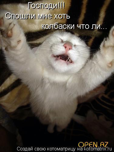 Господи!!! Спошли мне хоть колбаски что ли...... Котоматрица: Господи!!! Спошли мне хоть колбаски что ли...