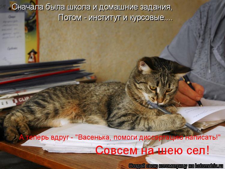 Котоматрица: Сначала была школа и домашние задания, Потом - институт и курсовые.... А теперь вдруг - "Васенька, помоги диссертацию написать!" Совсем на шею с