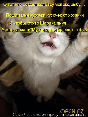 О тот кто создал:колбасу,молоко,рыбу.... Пошли мне курочки кусочек от хозяйки И чтобы кто-то Шарика п... Котоматрица: О тот кто создал:колбасу,молоко,рыбу.... Пошли мне курочки кусочек от хозяйки И чтобы кто-то Шарика пнул! А мне сказали"Мурчика мы больше люби