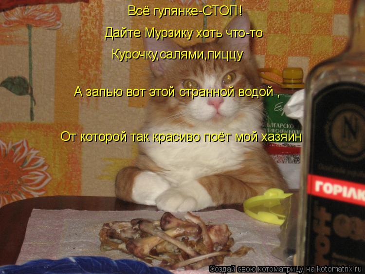 Всё гулянке-СТОП! Дайте Мурзику хоть что-то Курочку,салями,пиццу А запью вот этой странной водой , От... Котоматрица: Всё гулянке-СТОП! Дайте Мурзику хоть что-то Курочку,салями,пиццу А запью вот этой странной водой , От которой так красиво поёт мой хазяин