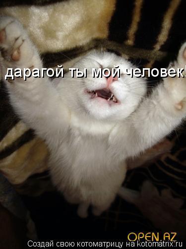 дарагой ты мой человек!!!... Котоматрица: дарагой ты мой человек!!!