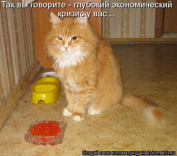 Так вы говорите - глубокий экономический кризис у вас...... Котоматрица: Так вы говорите - глубокий экономический кризис у вас...