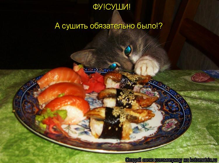 ФУ!СУШИ! А сушить обязательно было!?... Котоматрица: ФУ!СУШИ! А сушить обязательно было!?