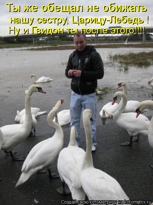Ты же обещал не обижать нашу сестру, Царицу-Лебедь ! Ну и Гвидон ты после этого!!!!... Котоматрица: Ты же обещал не обижать нашу сестру, Царицу-Лебедь ! Ну и Гвидон ты после этого!!!!