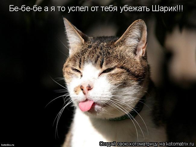 Бе-бе-бе а я то успел от тебя убежать Шарик!!!... Котоматрица: Бе-бе-бе а я то успел от тебя убежать Шарик!!!