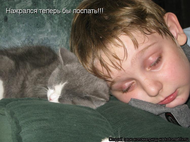 Нажрался теперь бы поспать!!!... Котоматрица: Нажрался теперь бы поспать!!!