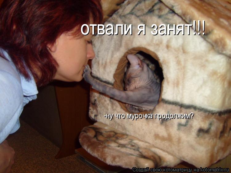 отвали я занят!!! -ну что мурочка продолжим?... Котоматрица: отвали я занят!!! -ну что мурочка продолжим?