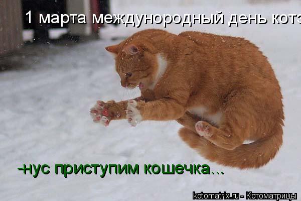 1 марта междунородный день котэ -нус приступим кошечка...... Котоматрица: 1 марта междунородный день котэ -нус приступим кошечка...