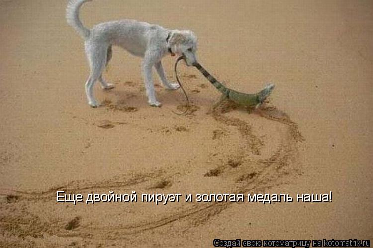 Еще двойной пируэт и золотая медаль наша!... Котоматрица: Еще двойной пируэт и золотая медаль наша!