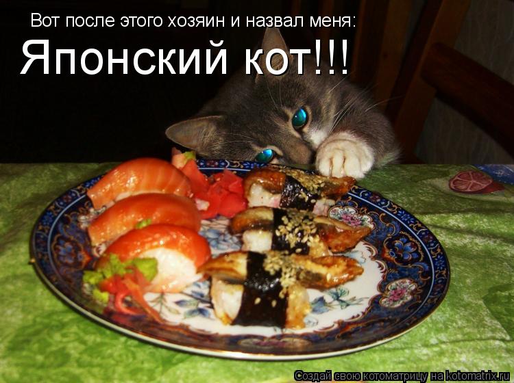 Вот после этого хозяин и назвал меня: Японский кот!!!... Котоматрица: Вот после этого хозяин и назвал меня: Японский кот!!!