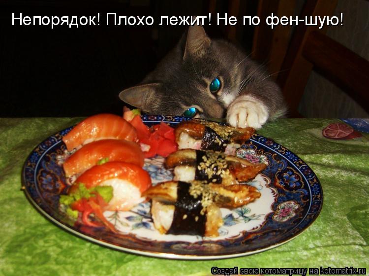 Непорядок! Плохо лежит! Не по фен-шую!... Котоматрица: Непорядок! Плохо лежит! Не по фен-шую!