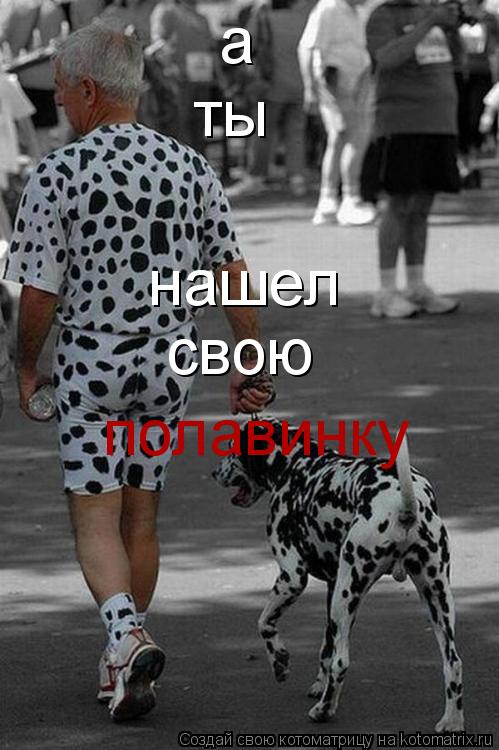 а ты нашел свою полавинку... Котоматрица: а ты нашел свою полавинку