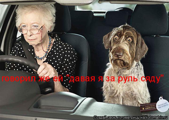 говорил же ей "давая я за руль сяду"... Котоматрица: говорил же ей "давая я за руль сяду"