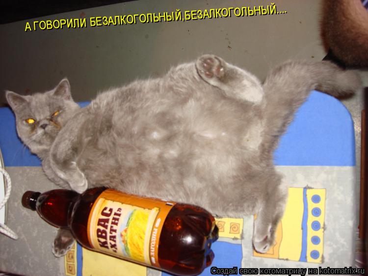 А ГОВОРИЛИ БЕЗАЛКОГОЛЬНЫЙ,БЕЗАЛКОГОЛЬНЫЙ....... Котоматрица: А ГОВОРИЛИ БЕЗАЛКОГОЛЬНЫЙ,БЕЗАЛКОГОЛЬНЫЙ....