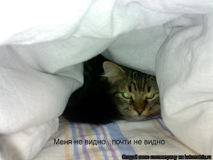 Меня не видно...почти не видно... Котоматрица: Меня не видно...почти не видно