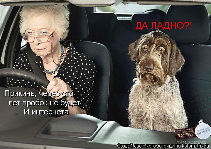 Прикинь, через сто лет пробок не будет. ... И интернета ДА ЛАДНО?!... Котоматрица: Прикинь, через сто лет пробок не будет. ... И интернета ДА ЛАДНО?!