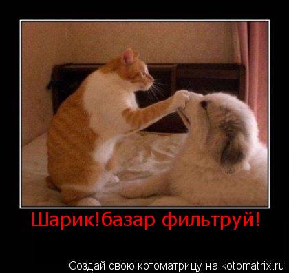 Шарик!базар фильтруй!... Котоматрица: Шарик!базар фильтруй!