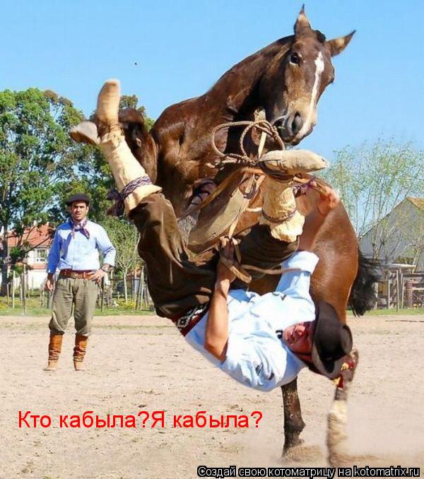 Кто кабыла?Я кабыла?... Котоматрица: Кто кабыла?Я кабыла?