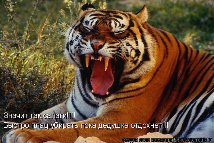 Значит так,салаги!!!! Быстро плац убирать,пока дедушка отдохнет!!!... Котоматрица: Значит так,салаги!!!! Быстро плац убирать,пока дедушка отдохнет!!!
