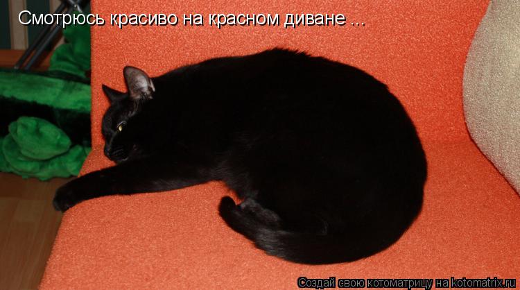 Смотрюсь красиво на красном диване ...... Котоматрица: Смотрюсь красиво на красном диване ...
