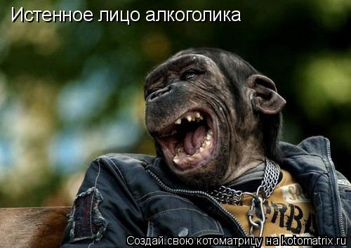 Истенное лицо алкоголика... Котоматрица: Истенное лицо алкоголика