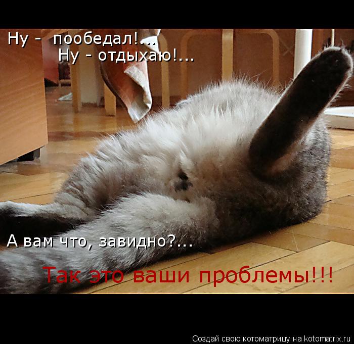 Ну - пообедал!... Ну - отдыхаю!... А вам что, завидно?... Так это ваши проблемы!!!... Котоматрица: Ну - пообедал!... Ну - отдыхаю!... А вам что, завидно?... Так это ваши проблемы!!!