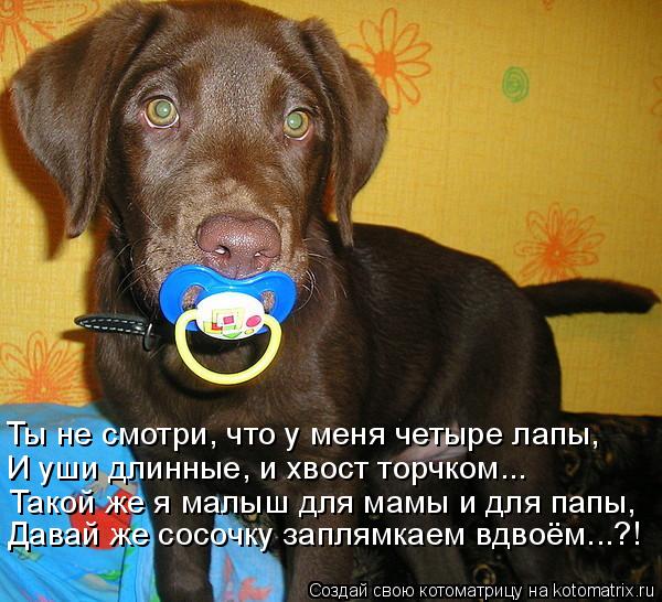 Котоматрица: Такой же я малыш для мамы и для папы,  И уши длинные, и хвост торчком... Ты не смотри, что у меня четыре лапы, Давай же сосочку заплямкаем вдвоём
