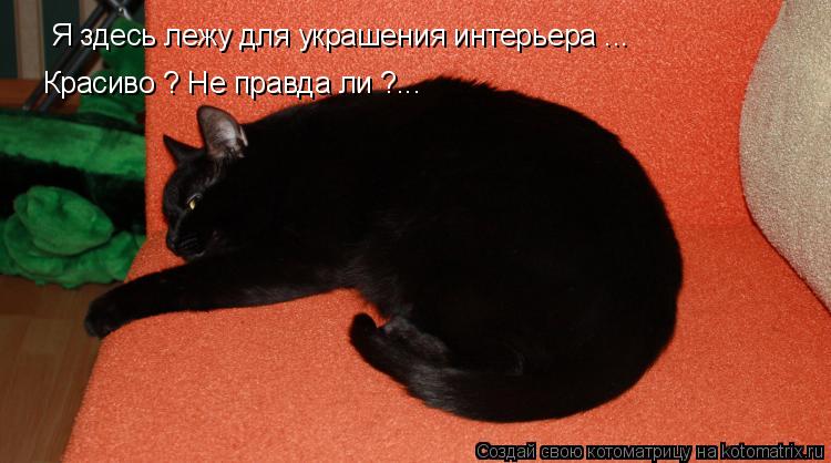 Я здесь лежу для украшения интерьера ... Красиво ? Не правда ли ?...... Котоматрица: Я здесь лежу для украшения интерьера ... Красиво ? Не правда ли ?...