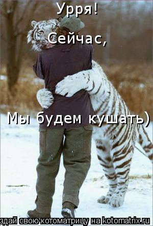 Урря! Сейчас, Мы будем кушать)... Котоматрица: Урря! Сейчас, Мы будем кушать)