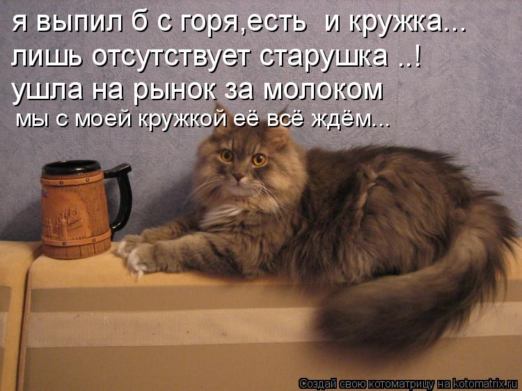 я выпил б с горя,есть и кружка... лишь отсутствует старушка ..! ушла на рынок за молоком мы с моей ... Котоматрица: я выпил б с горя,есть и кружка... лишь отсутствует старушка ..! ушла на рынок за молоком мы с моей кружкой её всё ждём...