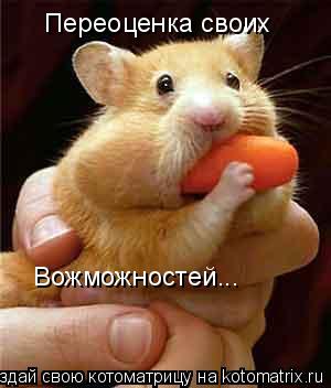 Переоценка своих Вожможностей...... Котоматрица: Переоценка своих Вожможностей...